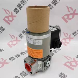 DUNGS MVDLE-207/5 Électrovanne à gaz à ouverture et fermeture rapides Stock200 MVDLE-207/5 MVDLE-207/5 MVDLE-207/5 - Product Image 6