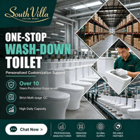 WC monobloc en céramique gris et or moderne à double chasse pour hôtels, avec siphon en S, fixation au sol et abattant à fermeture lente
