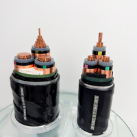 Präzisions technische XLPE-Isolierung Kupfer verzögerndes Elektrokabel PVC-Drähte Gepanzerte MV-Stromkabel aus Stahl