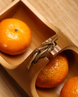 Bamboe Fancy Droge Vruchten En Noten Snack Serveren Halve Trays Gerecht Voor Foodparty Bruiloft Snacks