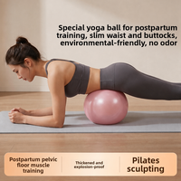Ballon de Pilates et de Yoga Mini Premium Vinique Fitness 25 cm Anti-éclatement pour la Récupération du Plancher Pelvien et le Fitness Post-partum en PVC Épaissi