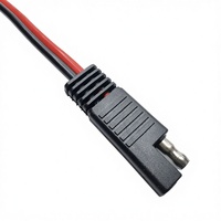 Câble d'extension de connecteur SAE à 2 broches 14AWG, assemblage de câble de charge de batterie à polarité inversée, faisceau de câblage personnalisé pour moto