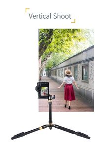 Il treppiede in lega di alluminio QZSD Q555, con una capacità di carico di, è adatto per fotocamere reflex e include una testa a sfera. - Product Image 6