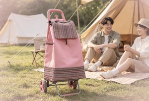 Carrito <span class=keywords><strong>de</strong></span> Compras Ligero y Silencioso <span class=keywords><strong>con</strong></span> Ruedas Grandes para el Hogar - Product Image 6