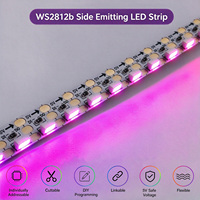 Lampu Strip LED WS2812B Side Emitting DC5V 8mm 120LEDs/m Chip 4020 Warna Dreamy Addressable Intelligent Pixel