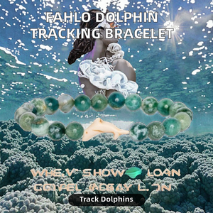 Bracelet élastique en perles Bohème Fahlo Dolphin Tracking, taille unique, soutient le laboratoire des <span class=keywords><strong>mammifères</strong></span> <span class=keywords><strong>marins</strong></span> FIU, cadeau unisexe pour femme - Product Image 2