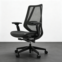 Chaise de bureau ergonomique moderne et minimaliste en nylon maillé, avec soutien lombaire réglable et pivotement multi-positions, idéale pour la maison ou le bureau informatique