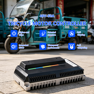 Contrôleur de moteur de tricycle électrique haut de gamme 48V 60A 2000W, contrôleur de vitesse de moteur BLDC intégré pour pièces de rickshaw électrique - Product Image 1