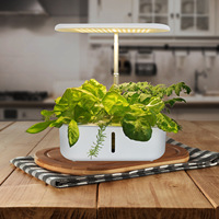 Équipement de culture hors sol, système de culture hydroponique intelligent pour la maison, pots à légumes, boîtes de culture pour plantes/fleurs, haute rigidité