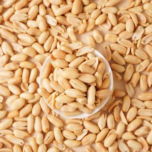 Snacks de <span class=keywords><strong>cacahuetes</strong></span> <span class=keywords><strong>y</strong></span> frutos secos de calidad profesional, frutos secos mixtos tostados, <span class=keywords><strong>cacahuetes</strong></span> tostados enlatados - Product Image 1