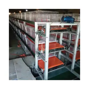 Chine Fabricant H Cadres Cage pour poulets de chair Cages à viande de poulet avec système automatique