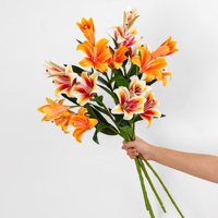 Fabrikverkauf: 71 cm künstliche Lilien mit 3 Blütenköpfen und realistischem Touch, langer Stiel für Hochzeiten, Events, Heim- und Hoteldekoration, Großhandel