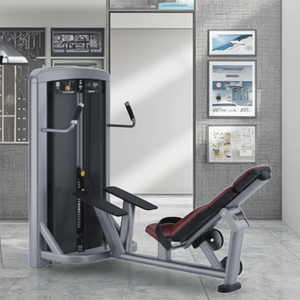 QLK Gym <b>Machines</b> Fitness Equipment With New Design Plate Loaded Glute Drive Hip <b>Thrust</b> <b>Machine</b> Bridge LK-034 Gym <b>Machines</b> Fitnes - Product Image 2