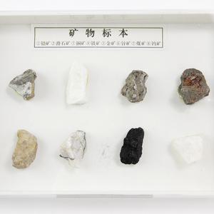 Espécimen Mineral (Caja de Plástico) J49005, Instrumento de Enseñanza de Ciencias Naturales, Geografía y Ciencia Popular para Escuelas Primarias - Product Image 3