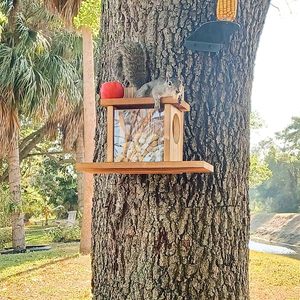 1,5 cm Dicke Robuste Karbonisierte Holz-Wildtierfütterungstafel mit Leicht zu Befüllendem Deckel und Maiskolbenhalter für Eichhörnchen - Product Image 5