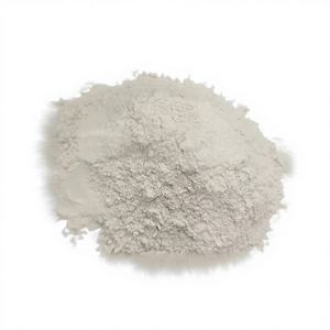 Fournisseur en gros de poudre de psyllium de qualité supérieure, 100% pure, brute, séchée, de qualité supérieure, 98% (super blanc), Spicecentra - Product Image 1