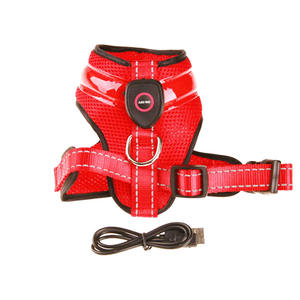 Grosir Tali Kekang <span class=keywords><strong>Led</strong></span> Anjing Usb Aksesori Hewan Peliharaan Rompi Kekang Anjing dan Tali Kekang Anjing - Product Image 3