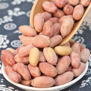 Arachides séchées de qualité supérieure Noyaux en vrac Grade d'exportation pour les importateurs mondiaux Non-OGM Directement de l'usine - Product Image 6