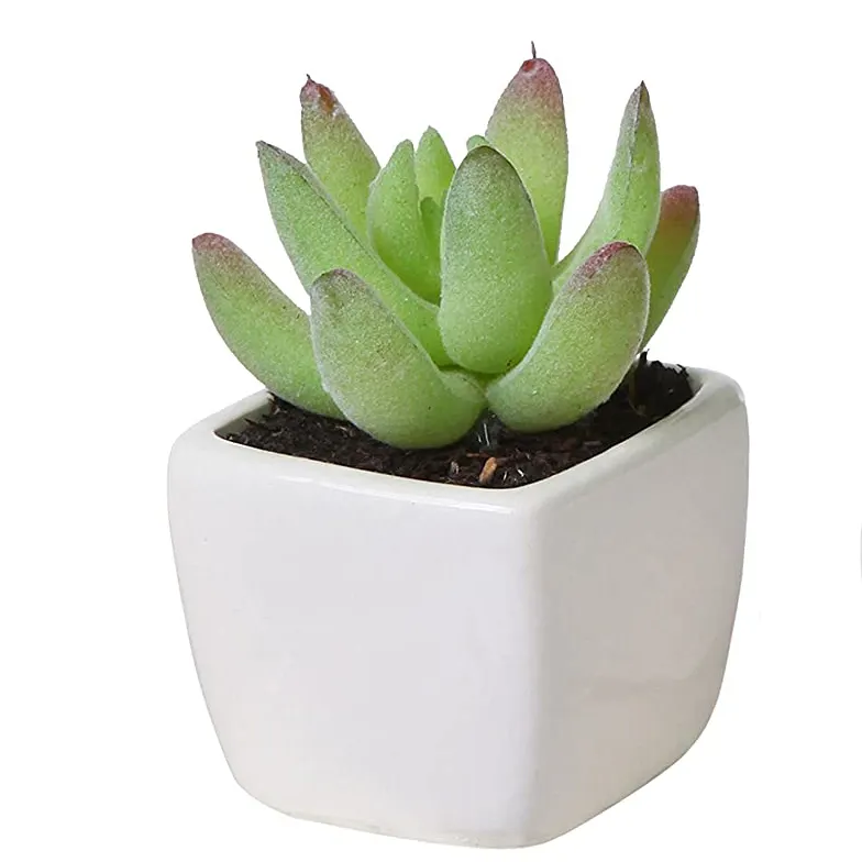 Üst satıcı yapay bitkiler plastik etli bitki sahte aloe mini küçük bonsai pot ofis için