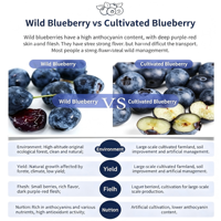 Blauwe bes, bosbes en berkenwater sapmix, 100ml glazen fles, enkelvoudige portie, kant-en-klaar fruitdrankje