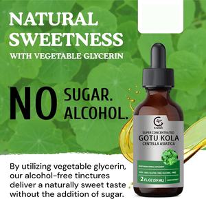 Vente en gros OEM Organique Gotu Kola Extrait liquide Centella Asiatica pour le système musculo-squelettique Soutien Supplément d'herbes - Product Image 4