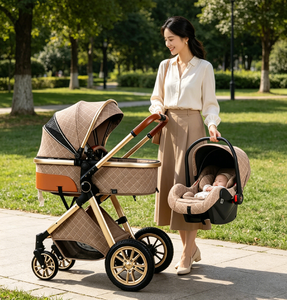 Carrito de Bebé Plegable de Dos Vías JXB a Precio Económico, con Ruedas de Goma, para Viajes - Product Image 1