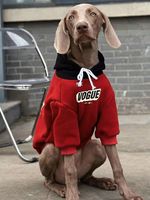 Sudadera de Lujo para Perro con Bloques de Color, Forro Polar Ecológico, Diseño Minimalista y Estilo Deportivo