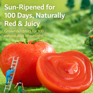 Supplier OEM Saus Tomat Grosir Dari Cina Saus Tomat Berkualitas Baik dengan Rasa Tomat Asli - Product Image 4