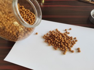 Máquina Extrusora para Línea de Producción de Alimento para Perros, Controlada por PLC, Motor de Engranajes, Accionamiento por Motor, 380V 120KW, Equipo Automático - Product Image 3