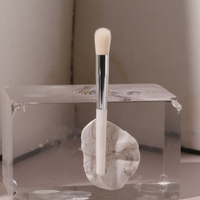 Ensemble de pinceaux de maquillage complet portable de 6 pièces avec miroir pour femmes, mini pinceaux de voyage, cosmétiques utilisés avec du fond de teint