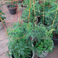 Support de plante inversé robuste et réglable en acier galvanisé pour tomates – Meilleures ventes
