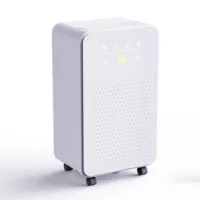Déshumidificateur à compresseur 10L-12L/jour, déshumidificateur d'air domestique, déshumidificateurs portables OEM pour la maison avec des fonctionnalités intelligentes