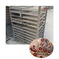 Oem Ondersteuning 10 Trays Roestvrijstalen Voedseldroogmachine Zonne-Fruitdroger Dehydrator Solar Groente Dehydrator Leverancier