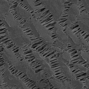 Ultrafilter Membrane 20L/<b>Min</b> Easy Installation Hollo Fiber Ptfe Degassing Core Pressure Vessel for Liquid Chromatograph - Product Image 2