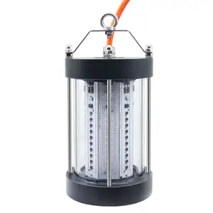 Wholesale 500w 1000w fishing light for A Different Fishing