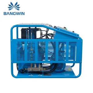 Bangwin 오일 프리 고압 산소 가스 부스터 압축기 최저 가격에 도매