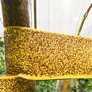Yellow Double Sided Sticky Trap Roll PE Insect Glue Tape Greenhouse Pest Control <strong>Bug</strong> <strong>Catcher</strong> - Product Image 4