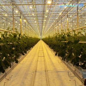 Invernadero de vidrio hidropónico Multi Span para agricultura Venlo de China para verduras/Flores/tomate/granja/jardín - Product Image 3