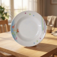 Assiette à dîner en mélamine moderne personnalisable de 9 pouces, durable et écologique pour la maison et l'hôtellerie