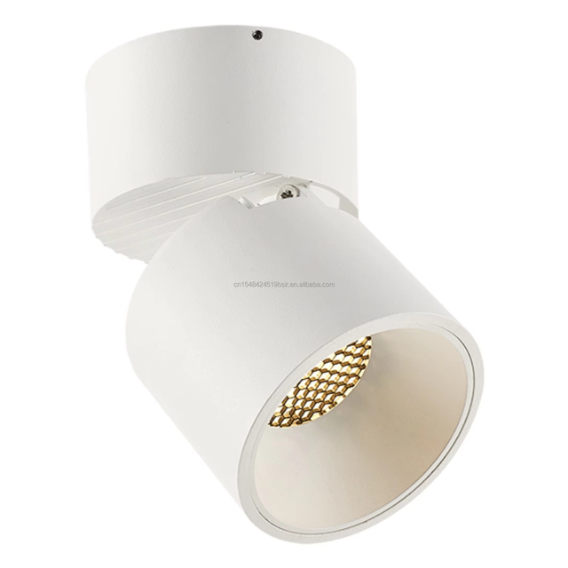 Tunable White Ceiling-mounted Anti-Glare Dimmable Round CRI 90 Surface LED Recess Downlight 2019 New Smart