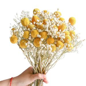 Arreglos de Craspedia Globosa Seca Natural a Granel, Flores Secas Decorativas Doradas Billy Ball Preservadas - Product Image 2