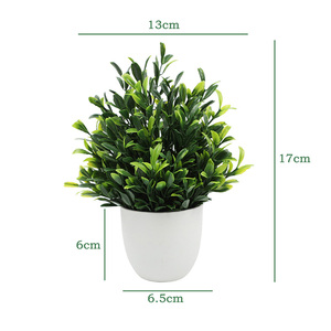 Piccolo Cespuglio di Eucalipto Artificiale Realistico e Durevole da 15cm in Plastica, 5 Vasi, per Interni, Scrivania, Tavolino, Bagno, Camera da Letto, Casa - Product Image 6