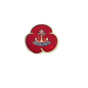 Nouvelle tendance RAF Souvenir Badge populaire UK Remembrance Day Épinglette en émail doux - Product Image 4