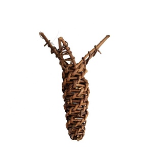 Küçük hayvan <span class=keywords><strong>pet</strong></span> çiğnemek oyuncak için doğa ilk söğüt havuç - Product Image 2