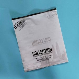 Emballages en plastique PVC biodégradable givré sur mesure, sachets refermables pour chaussettes, t-shirts, maillots de bain, avec logo - Product Image 4