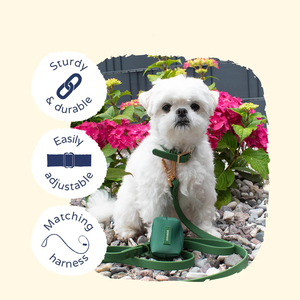 Wasserdichtes, verstellbares Luxus-Hundehalsband, schmutzabweisendes PVC, leicht zu reinigen, weich, flexibel, langlebig, Designer, personalisierbar, Anti-Verlust - Product Image 6