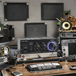 Amplificador de Coche Mini DeDs D2253 AK-280, Amplificador de Potencia Metálico de 2.0 Canales - Product Image 3