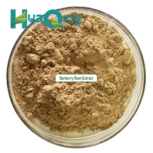 Suplementos De Erva Chinesa Extrato De Raiz De Bérberis - Product Image 3