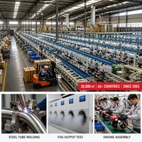 Pulvérisateur thermique professionnel 12L à batterie lithium, en acier inoxydable 316, grande surface, moteur puissant, haute productivité, pour la lutte antiparasitaire agricole