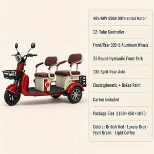Véhicule Tricycle Électrique Neuf 48V 60V à Trois Roues avec Moteur Différentiel 650W et Jantes en Aluminium pour l'Exportation en Gros - Product Image 3